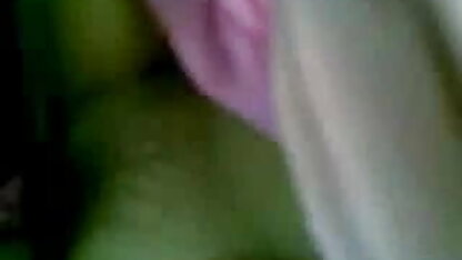 वीडियो केवल बीएफ सेक्सी मूवी फुल एचडी सूरजमुखी 420, भाग 4