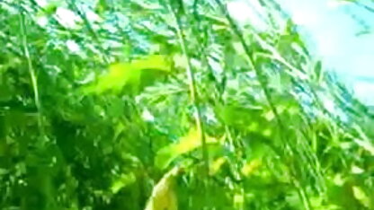 एलेक्स बीएफ सेक्सी मूवी फुल एचडी में मौका Tiggest का सम्भोग FullHD 1080p